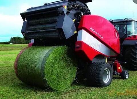 ���Z��A�������C